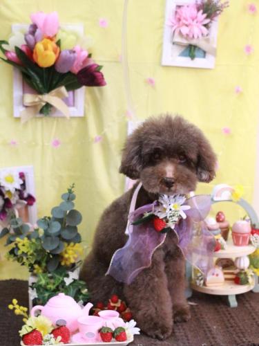 20230309きょうのちゃん